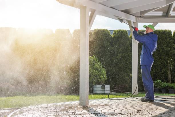 Best Sign and Awning Cleaning  in Carthage, MO