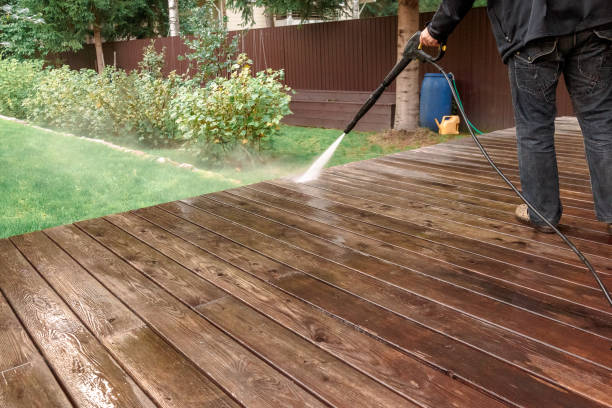 Best Animal Enclosure Cleaning  in Carthage, MO